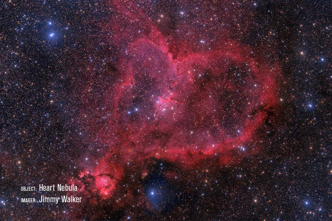 Celestron RASA V2 - 11"