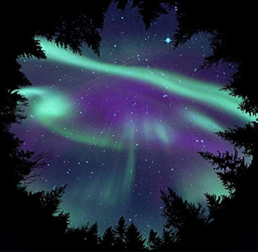 Homestar Planetariumsscheibe - Aurora Borealis &amp; Landschaftsscheibe Taiga