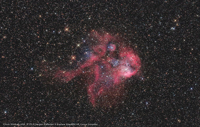Bresser Messier NT-203/800 EXOS-2 - 8"