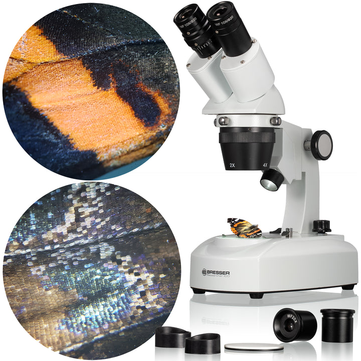 Researcher ICD Stereo Microscope